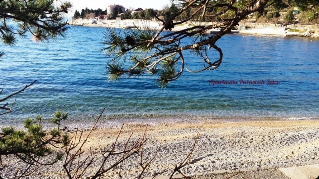 Apartments Adriatic 3 سيلتسي المظهر الخارجي الصورة