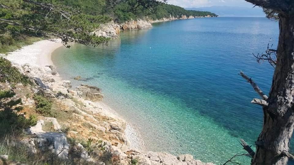 Apartments Adriatic 3 سيلتسي المظهر الخارجي الصورة