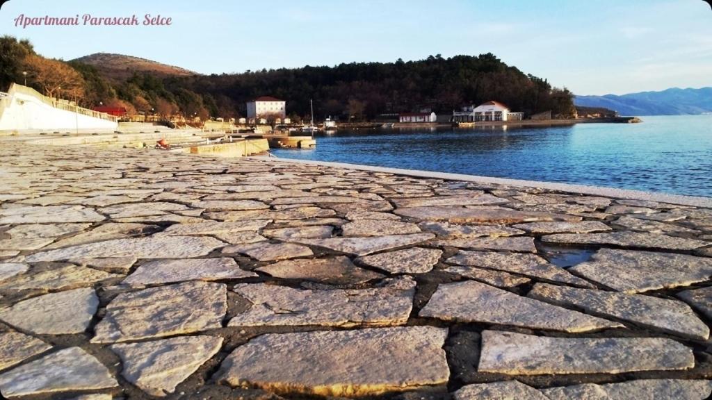Apartments Adriatic 3 سيلتسي المظهر الخارجي الصورة